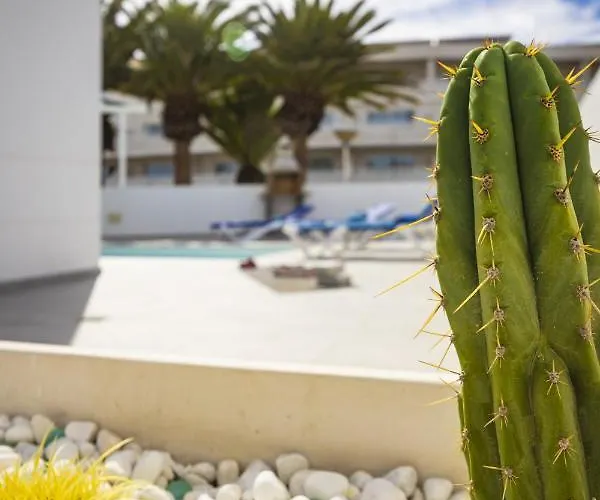 Nico By Escapehome * Puerto del Carmen